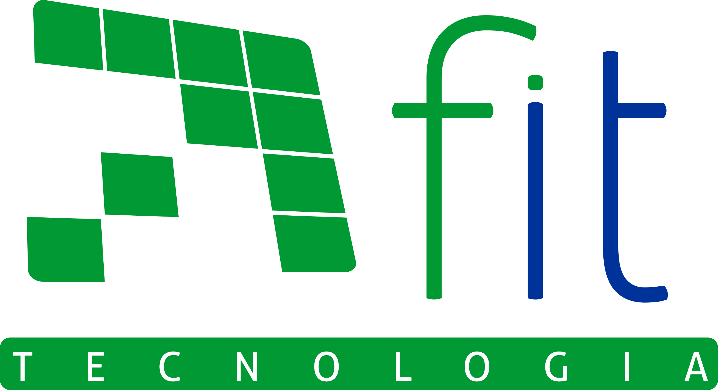 Fit Brasil Tecnologia
